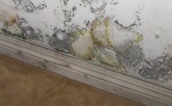 Drywall Water Damage repair