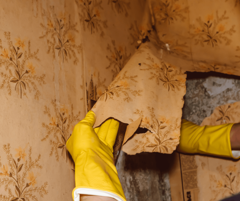 wall paper removal frisco texas